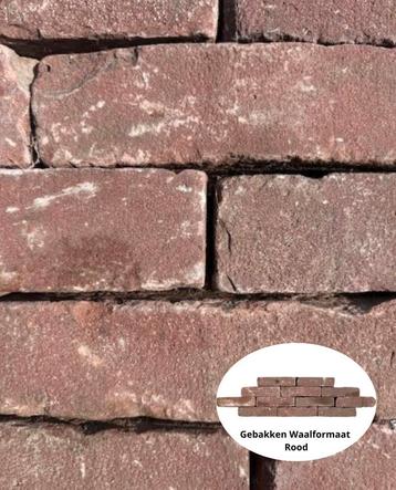 Gebakken Waalformaat Rood beschikbaar voor biedingen