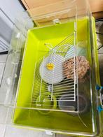 Hamsterkooi, Dieren en Toebehoren, Knaagdieren en Konijnen | Hokken en Kooien, Kooi, Minder dan 75 cm, Zo goed als nieuw, Ophalen