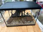 Fraai aquarium met toebehoren, Ophalen, Zo goed als nieuw, Leeg aquarium