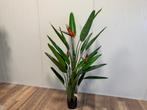 Strelitzia kunstplant (diverse afmetingen), Volledige schaduw, Overige soorten, Ophalen of Verzenden, In pot