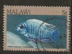 Malawi 15, visje, Verzenden, Overige landen, Gestempeld