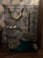 Katten ren, Dieren en Toebehoren, Katten-accessoires, Ophalen, Zo goed als nieuw