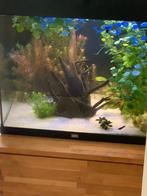 Prachtige Juwel lido 120, Dieren en Toebehoren, Vissen | Aquaria en Toebehoren, Ophalen, Zo goed als nieuw, Gevuld zoetwateraquarium