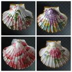 Decoratieve Sint Jacobsschelpen met Bloemen, Overige materialen, Schaal, Nieuw, Ophalen of Verzenden