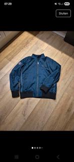 Originele Nieuwe Scania zomerjas - Blauw - Maat L, Blauw, Maat 42/44 (L), Scania, Nieuw