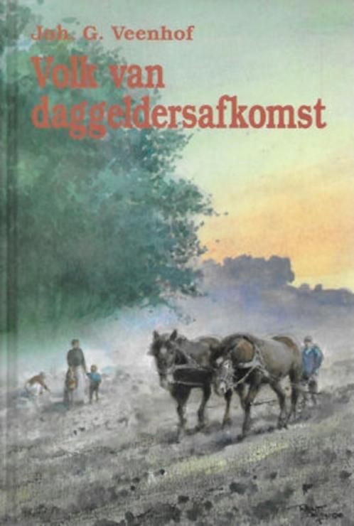 Joh. G. Veenhof: Volk van daggeldersafkomst (Leen Mulder 3), Boeken, Romans, Zo goed als nieuw, Nederland, Ophalen of Verzenden