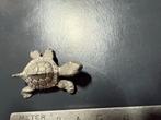 Tinnen Schildpad Beeldje, Ophalen of Verzenden