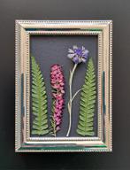 Droogbloemen in silverplated lijstje 14,5x11 cm, Minder dan 50 cm, Ophalen of Verzenden, Zo goed als nieuw, Schilderij