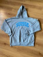 Hoodie Brandy Melville, Kleding | Dames, Maat 46/48 (XL) of groter, Ophalen of Verzenden, Zo goed als nieuw, Grijs