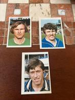 Wageningen panini vanderhout 1980-1981, Ophalen of Verzenden, Zo goed als nieuw