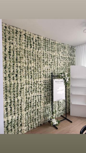 Rozen muur beschikbaar voor biedingen