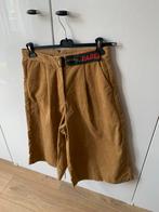 Daily Paper Broekrok Corduroy Lichtbruin XL Nieuw, Ophalen of Verzenden, Nieuw, Maat 56/58 (XL), Bruin