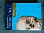 Prometheus Anatomische Atlas - Hoofd, Hals, Neuroanatomie, Boeken, Ophalen of Verzenden, Beta, Zo goed als nieuw, HBO