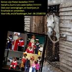 Sinterklaas huren, Diversen, Sinterklaas, Ophalen of Verzenden, Nieuw