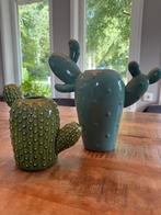 2 leuke cactus vazen, Steen, Ophalen of Verzenden, Zo goed als nieuw, Minder dan 50 cm