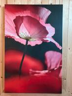 Foto op Canvas - Katie Ferringer, Antiek en Kunst, Ophalen