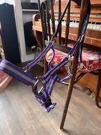 Paars halster, Dieren en Toebehoren, Paarden en Pony's | Hoofdstellen en Tuigage, Ophalen of Verzenden, Zo goed als nieuw, Overige soorten