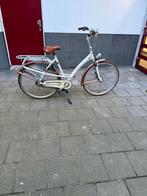 Nette batavus mambo, 53 tot 56 cm, Ophalen, Zo goed als nieuw, Batavus