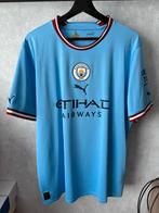 Puma manchester city aké shirt (maat xl), Maat XL, Ophalen of Verzenden, Zo goed als nieuw, Shirt