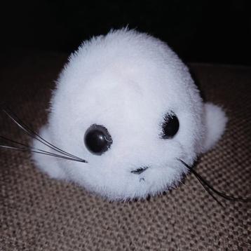 Klein wit zeehondje beschikbaar voor biedingen