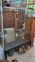 Museum vitrine kast, Ophalen of Verzenden