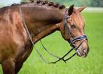 Profi-Rider Ares Hoofdstel Lak Zwart Wit Cob + Full SALE!, Dieren en Toebehoren, Paarden en Pony's | Hoofdstellen en Tuigage, Ophalen of Verzenden