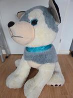 Knuffel hond, Ophalen, Hond