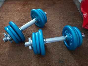 Dumbell set 2 x 10 kg instelbaar gietijzer dumbells halter beschikbaar voor biedingen
