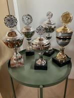 Prijzenbekers trofee 5 st. Ca 33 cm per stuk, Ophalen, Gebruikt