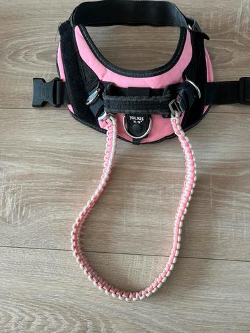 Julius K 9 tuig  maat 0 ( . 2 kleuren) beschikbaar voor biedingen