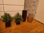 Kunstplant+vaas alles €25, Tuin en Terras, Bloempotten, Ophalen of Verzenden, Zo goed als nieuw, Rond, Minder dan 25 cm