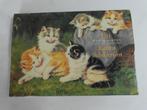 20 wenskaarten waarop kattenschilderijen, kapstokje kat en, Diversen, Wenskaarten, Ophalen of Verzenden, Nieuw