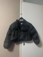 Prada jas, Kleding | Dames, Jassen | Winter, Ophalen of Verzenden, Zo goed als nieuw, Zwart
