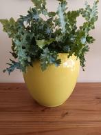 Bloempot Rian van FLORAN. ppst. NIEUW, Ophalen, Nieuw, Rond, Minder dan 25 cm