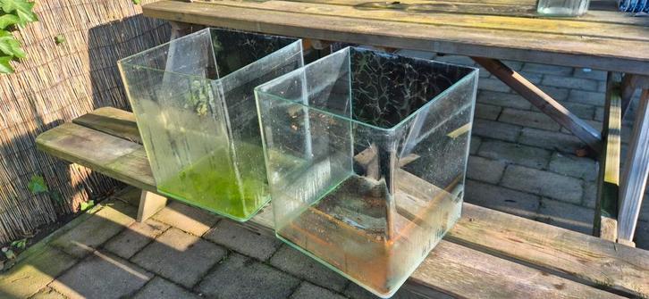 Dennerle Nano Cube 30 aquarium bak (2x), Dieren en Toebehoren, Vissen | Aquaria en Toebehoren, Gebruikt, Leeg aquarium, Ophalen