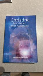 Bernadette von Dreien - Het visioen over het goede, Boeken, Achtergrond en Informatie, Spiritualiteit algemeen, Ophalen of Verzenden
