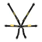 Schroth Enduro 2X2 Profi II gordel set racegordel FIA ASM, Auto diversen, Ophalen of Verzenden, Nieuw