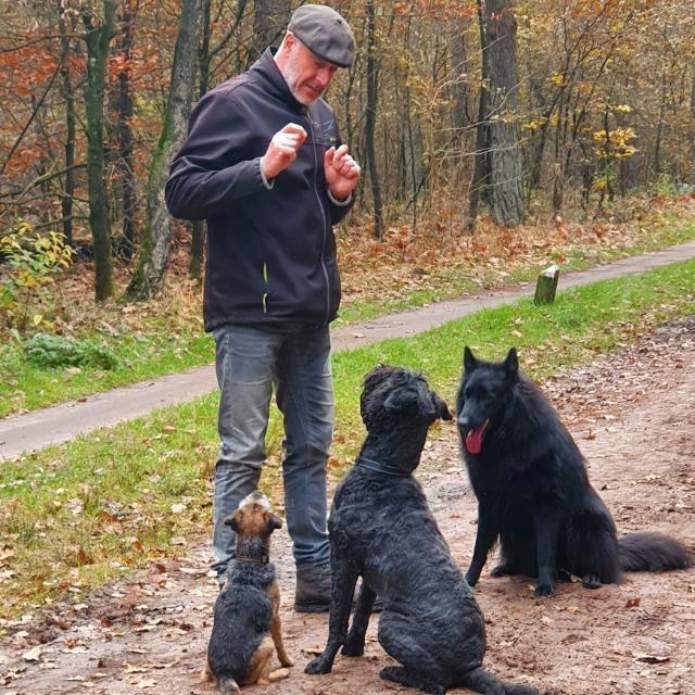 Hondentrainer en instructeur, Diensten en Vakmensen, Dieren | Honden | Verzorging, Oppas en Les