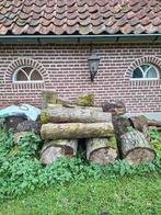 Stammen Brandhout - ca. 3 kuub na drogen, Tuin en Terras, Haardhout, Ophalen