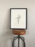 Zeefdruk botanisch planten Berenklauw A3 poster zwart wit, Rechthoekig Staand, Verzenden, Nieuw, A1 t/m A3