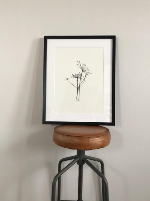 Zeefdruk botanisch planten Berenklauw A3 poster zwart wit, Verzamelen, Posters, Nieuw, Dier of Natuur, A1 t/m A3, Rechthoekig Staand