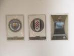 Panini Adrenalyn Premier League 2024-25, Verzenden, Nieuw, Plaatje