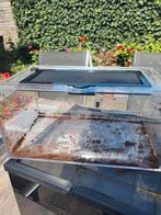 Plastic terrarium geschikt voor kleine insecten, Dieren en Toebehoren, Reptielen en Amfibieën | Toebehoren, Ophalen, Zo goed als nieuw