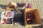Mooie Partij van Allerlei Kerst Materiaal, Ophalen of Verzenden, Zo goed als nieuw