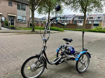 E-bike driewieler opknapper  beschikbaar voor biedingen