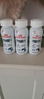 Recovery voeding royal canin sondevoeding, Dieren en Toebehoren, Ophalen of Verzenden