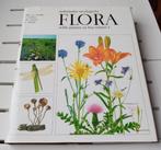 NEDERLANDSE OECOLOGISCHE FLORA deel 4, Boeken, Natuur, Gelezen, Drs EJ Weeda, Ophalen of Verzenden, Bloemen, Planten en Bomen