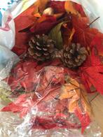 Herfst decoratie, Ophalen of Verzenden, Nieuw