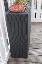 Online Veiling: Planten incl. plantenbak - 59x27x78cm, Tuin en Terras, Planten | Bomen