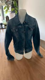 Tommy hilfiger spijkerjas, Ophalen of Verzenden, Zo goed als nieuw, Meisje, Jas